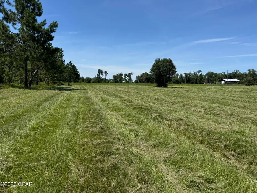 5806 Hansford Road, Marianna, FL 32448 - #3
