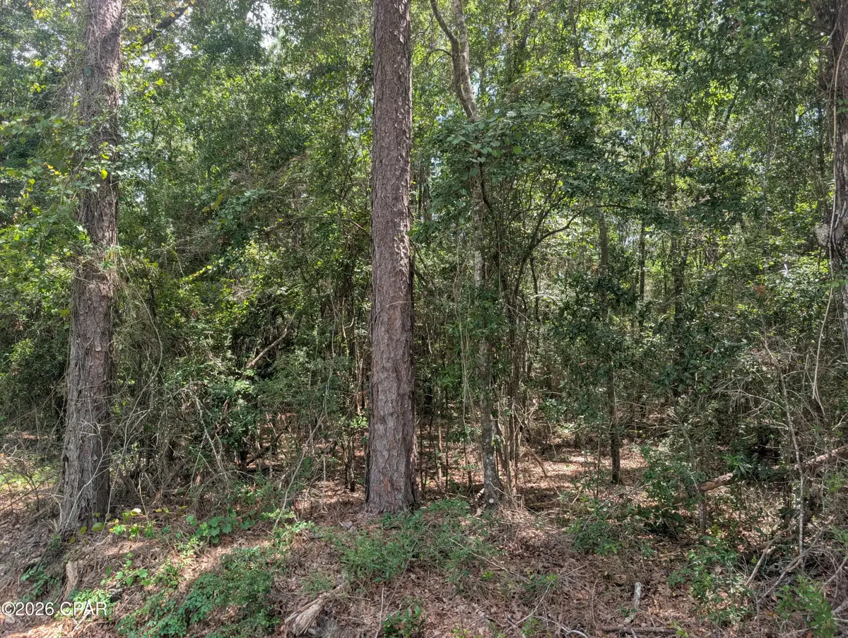 TBD Marian Drive, Bonifay, FL 32425 - #1