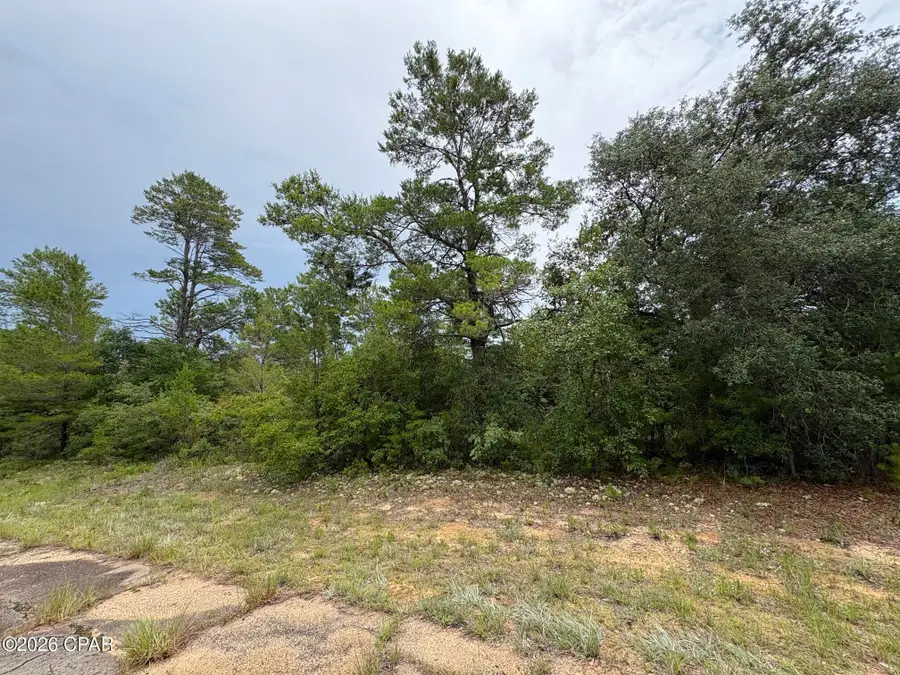 LOT 29 Colmart Drive, Chipley, FL 32428 - #2
