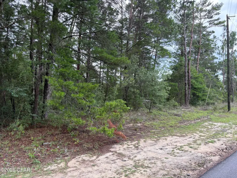 LOT 22 Pinehurst Avenue, Chipley, FL 32428 - #2