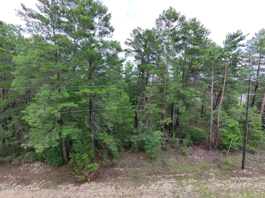 LOT 22 Pinehurst Avenue, Chipley, FL 32428 - #3