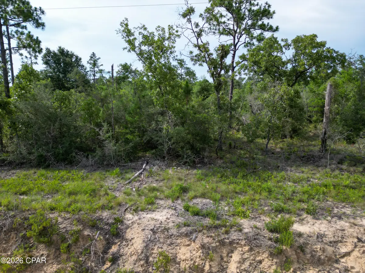 XXXX Hero Road, Chipley, FL 32428 - #1