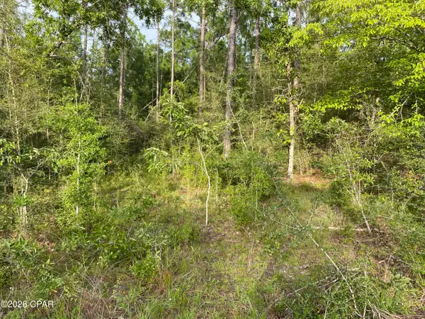 LOT 30 Putnam Avenue, Alford, FL 32420