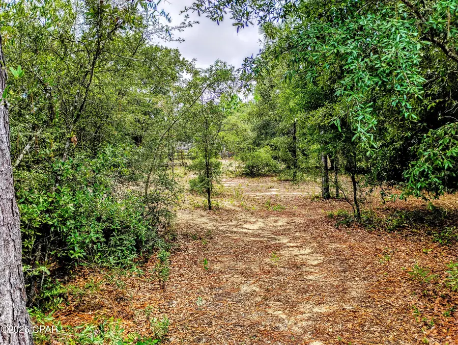 Lot 8 Shenandoah Boulevard, Chipley, FL 32428 - #2