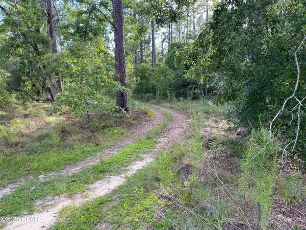 Lot 31 Putnam Avenue, Alford, FL 32420