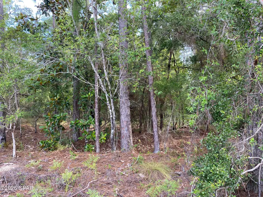 Lot 31 Putnam Avenue, Alford, FL 32420 - #3