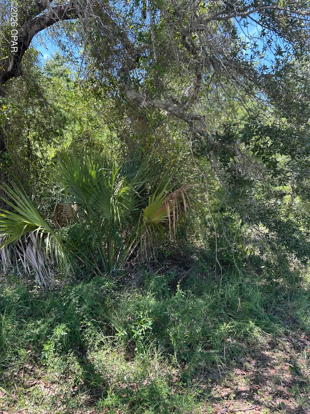 17 W Flower Avenue, Panama City, FL 32405 - #1