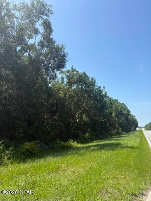 0 Blueberry Drive, Sneads, FL 32460
