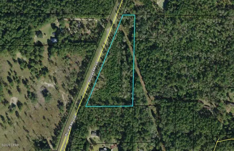 0 Blueberry Drive, Sneads, FL 32460 - #3