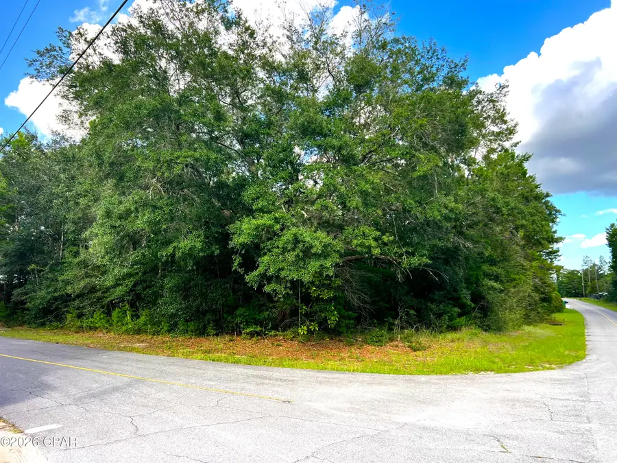 Lot 59 Preston Circle, Chipley, FL 32428 - #2