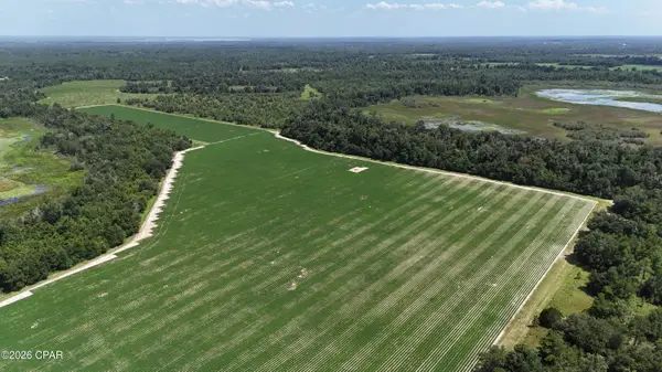 0 Longpond Road, Grand Ridge, FL 32442