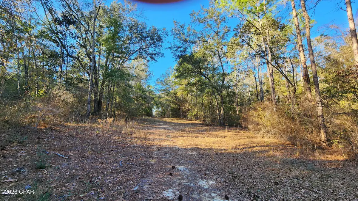 1221 Js Jones Road, Graceville, FL 32440 - #1