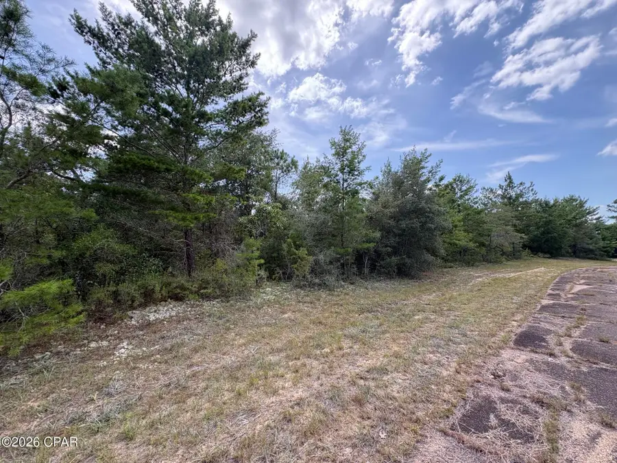 LOT 2 Confetti Place, Chipley, FL 32428 - #3