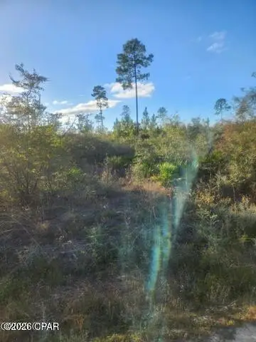 00 NW Hwy 167 County Road 167, Fountain, FL 32438