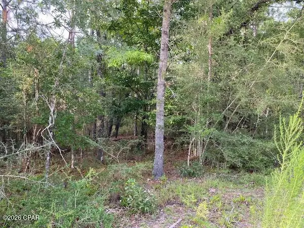 Lot 5 Putnam Avenue, Alford, FL 32420