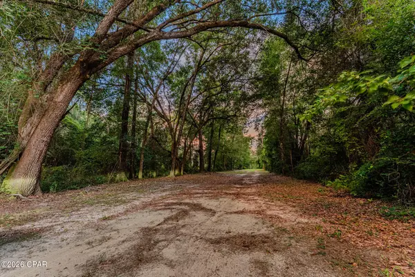 TBD Highway 90, Grand Ridge, FL 32442