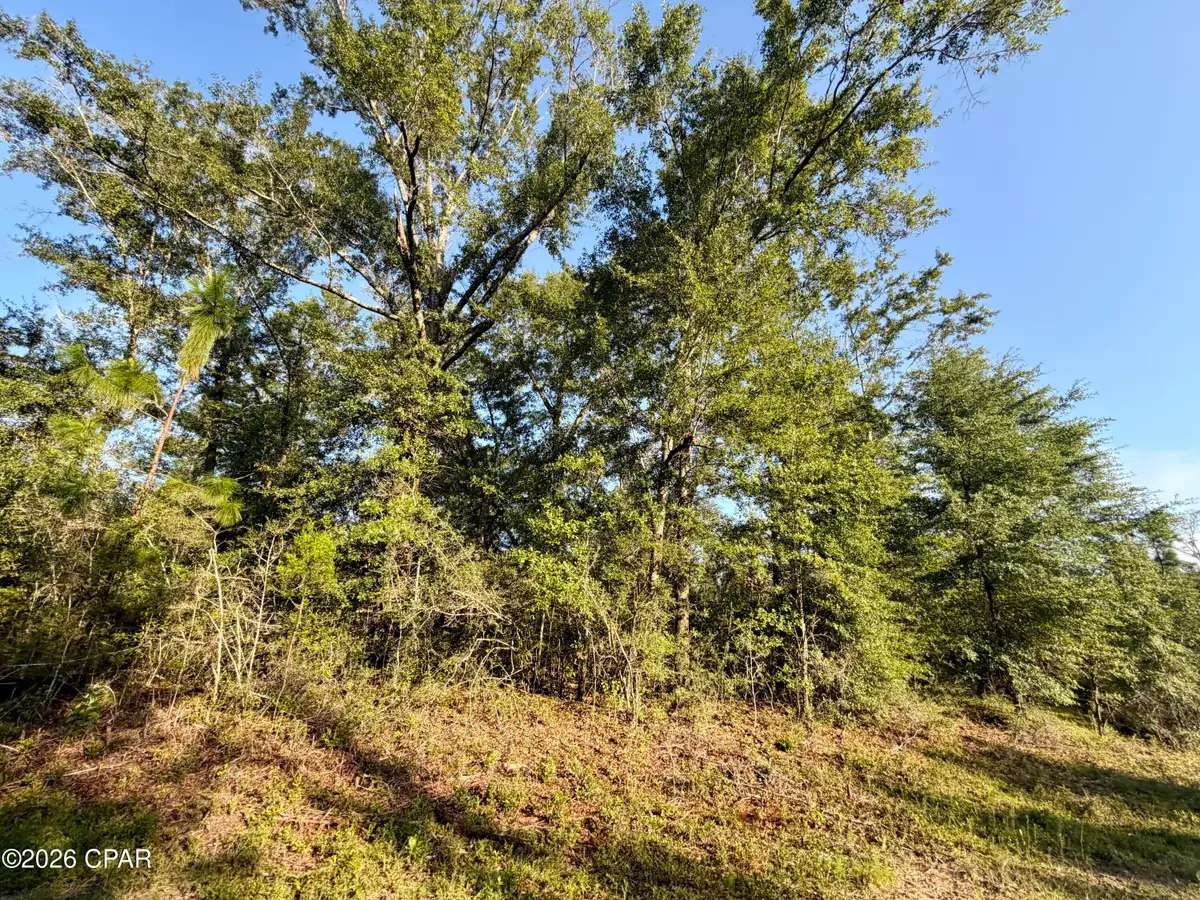 Lot 26 Grove Lane, Marianna, FL 32448 - #1