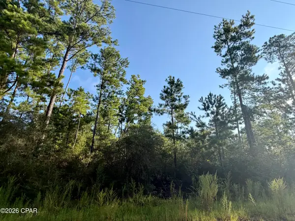 Lot 4 Black Hills Street, Alford, FL 32420