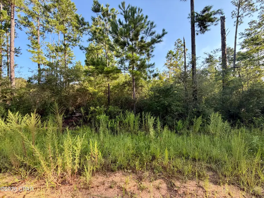 Lot 4 Black Hills Street, Alford, FL 32420 - #2