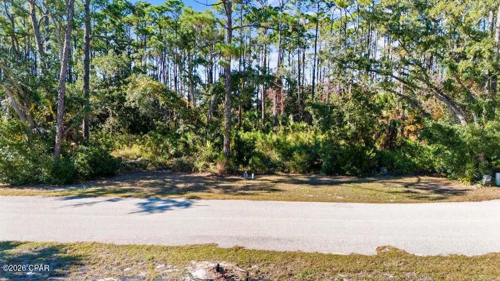 14 Waters Edge Drive, Port Saint Joe, FL 32456 - #1
