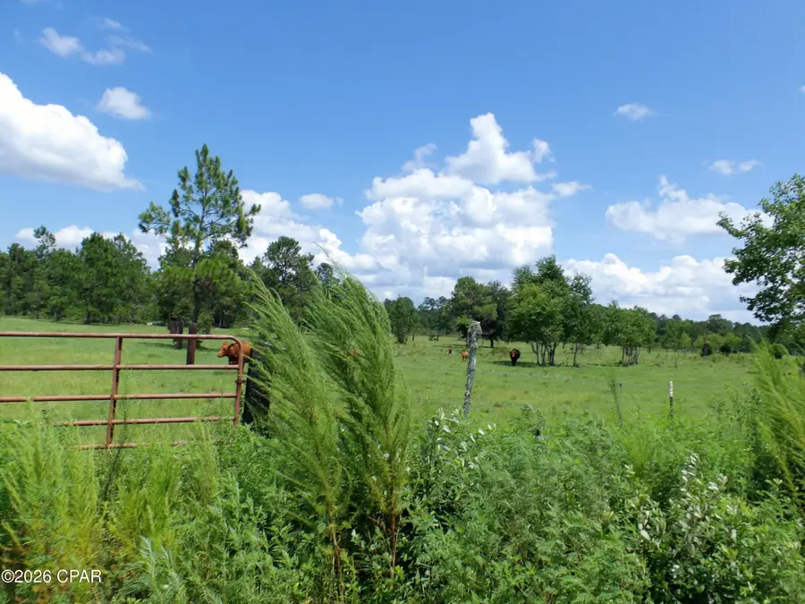 410 Foxchase Drive, Wewahitchka, FL 32465 - #3