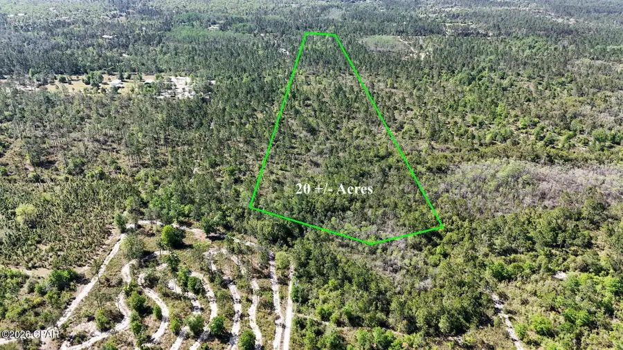 4360 NW Miller Road, Altha, FL 32421 - #3
