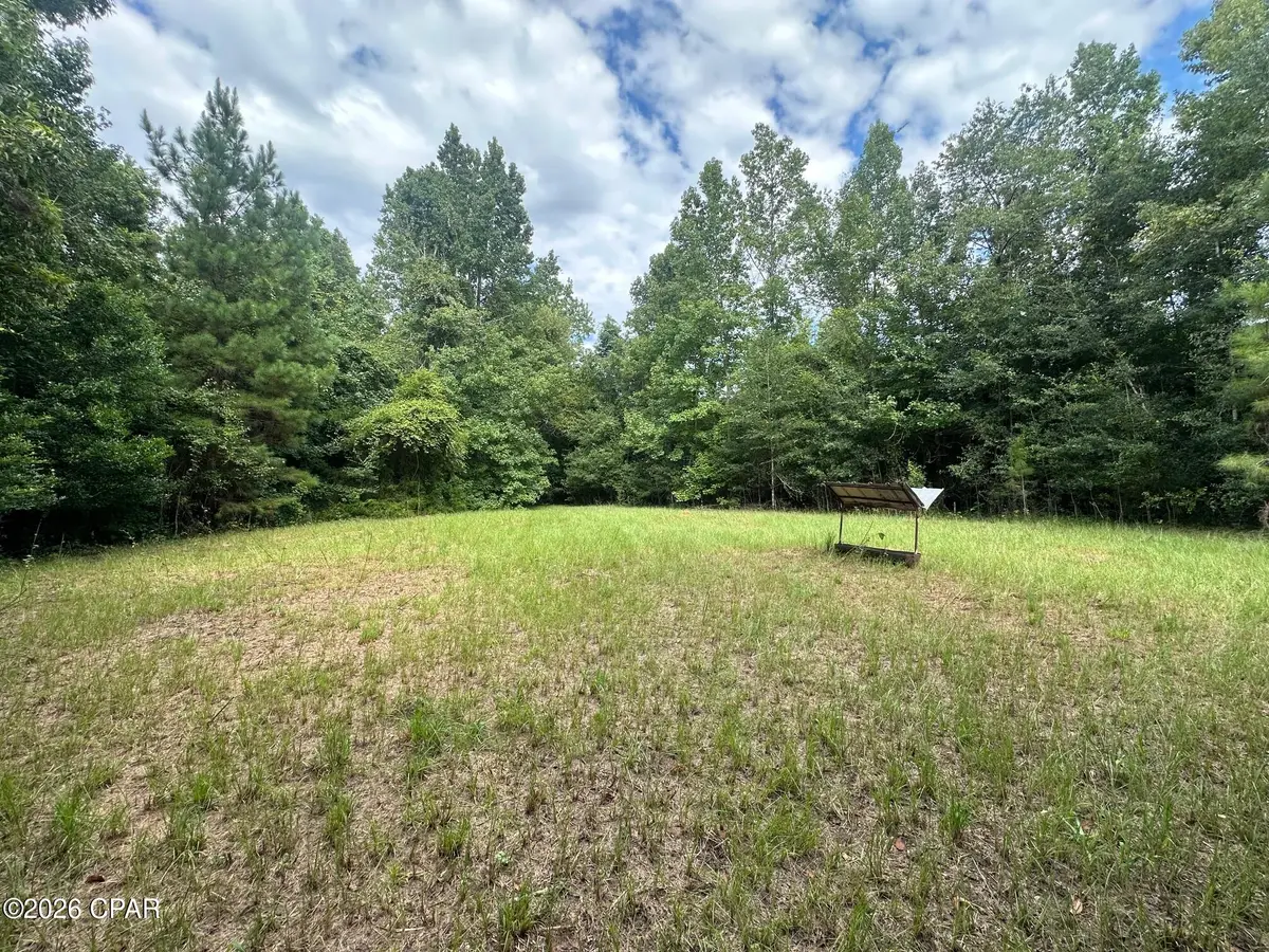 0 Poplar Springs Road, Marianna, FL 32446 - #1