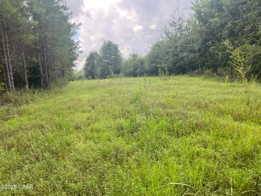 00 Sylvantia Plantation Road, Greenwood, FL 32443 - #3