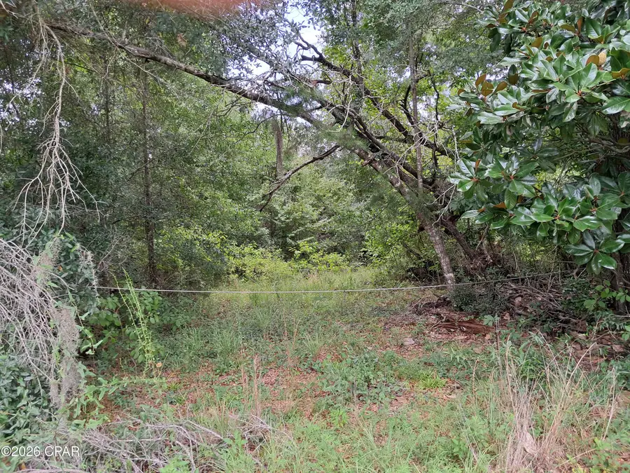 0000 Rooks Drive, Marianna, FL 32446 - #2