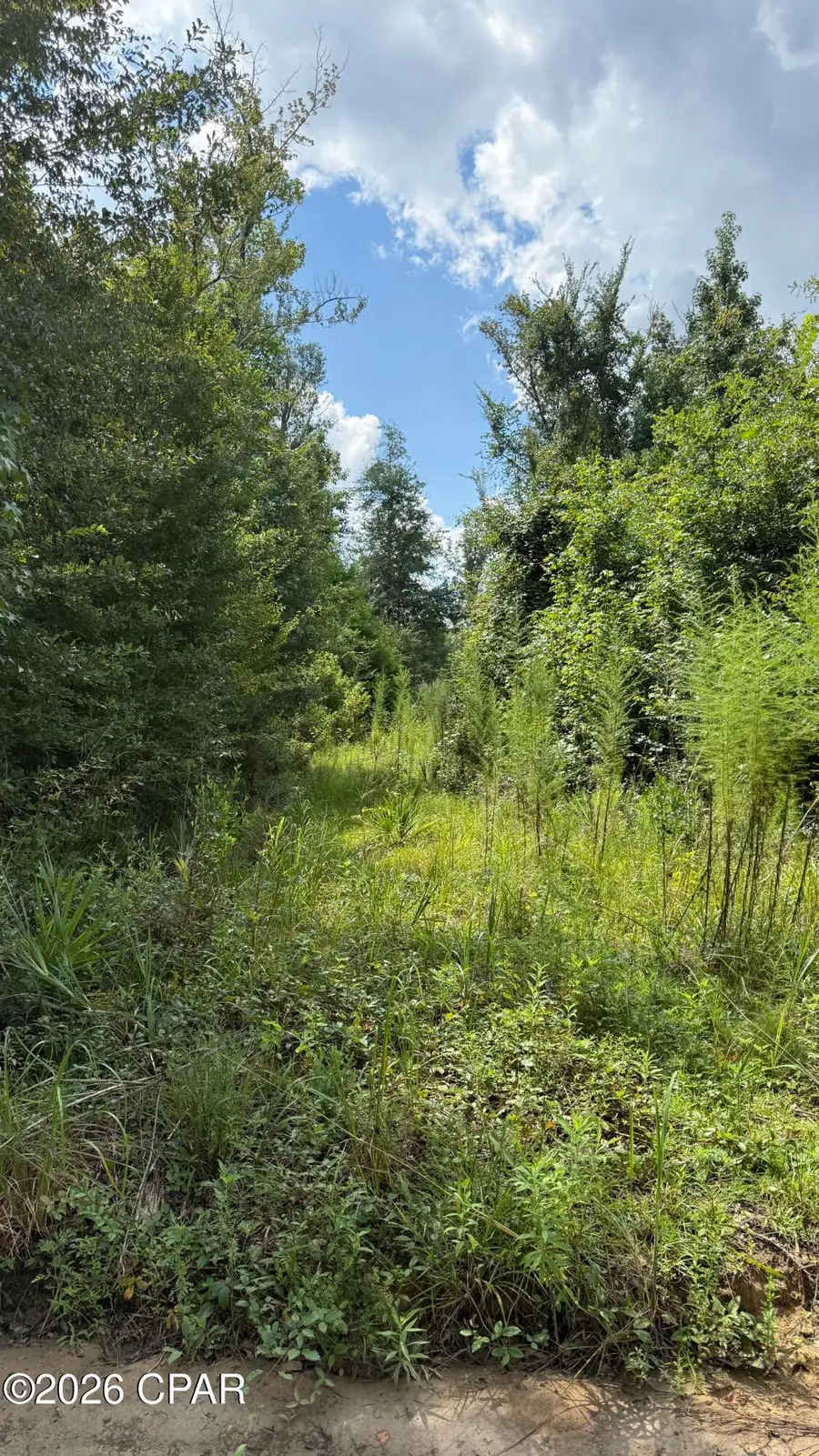 0 Chipola Lane, Marianna, FL 32448 - #3