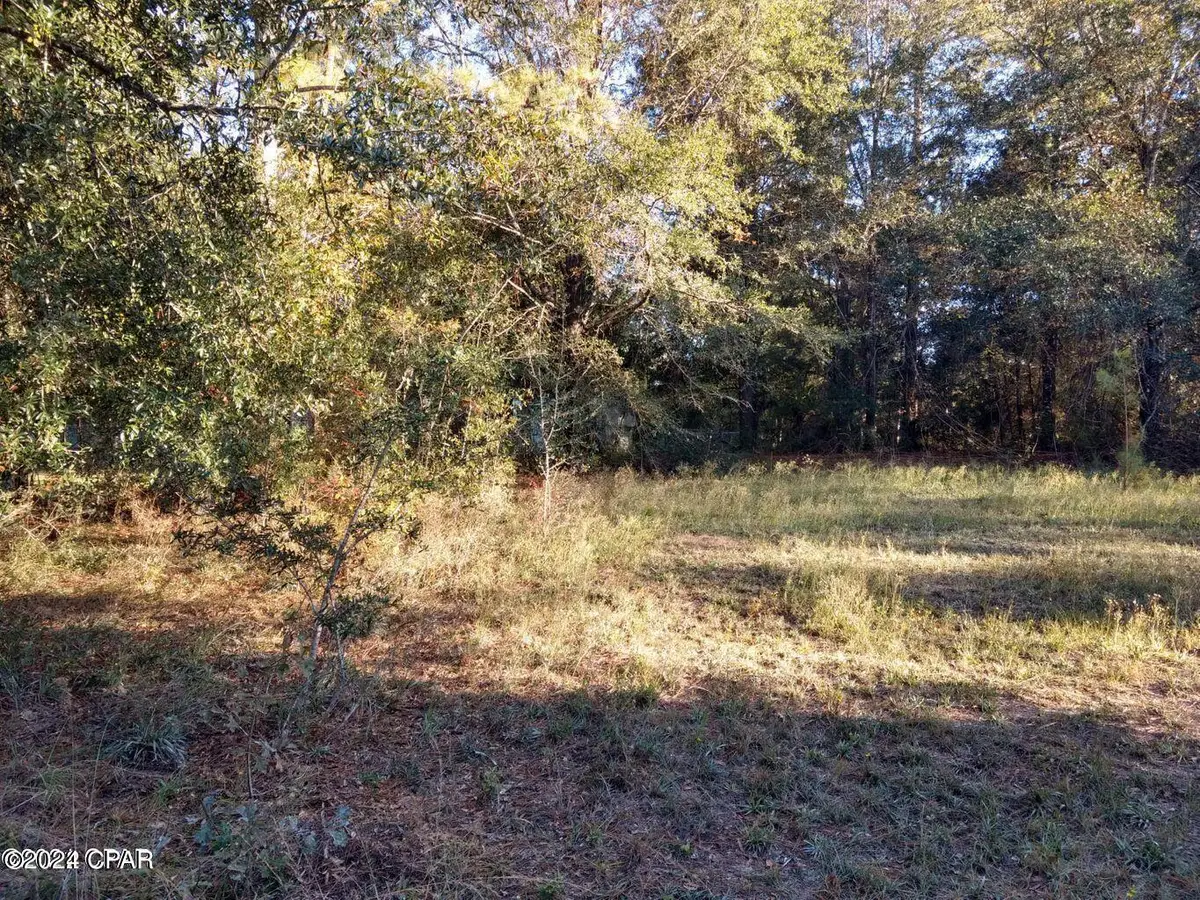 00 Marian Drive, Bonifay, FL 32425 - #1