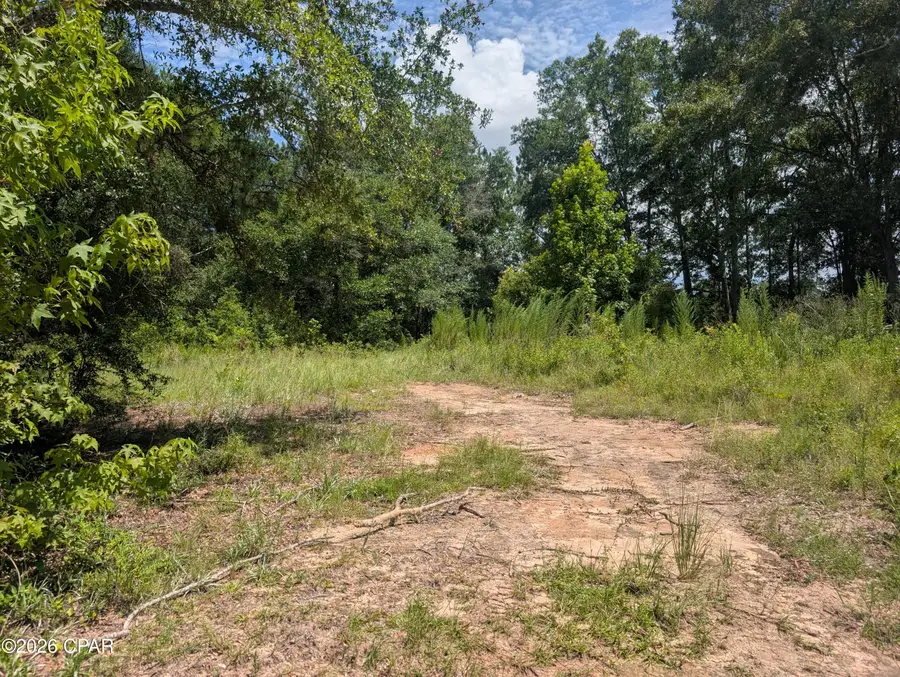 00 Marian Drive, Bonifay, FL 32425 - #3