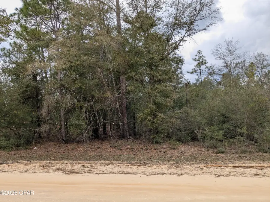 00 Pilgrim Rest Church Road, Marianna, FL 32448 - #3