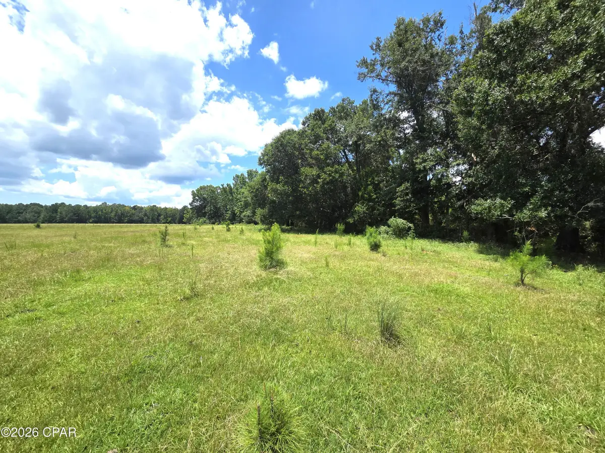 XXX SW County Road 379, Bristol, FL 32321 - #1