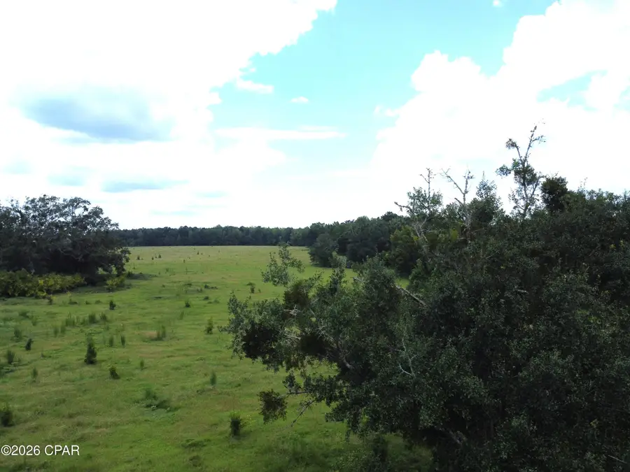 XXX SW County Road 379, Bristol, FL 32321 - #3