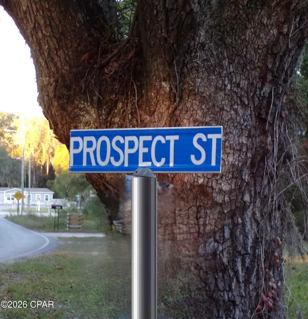 0 Prospect Street, Freeport, FL 32439