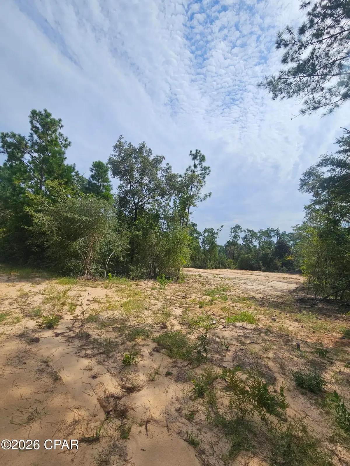 1225 Alene Drive, Alford, FL 32420 - #1