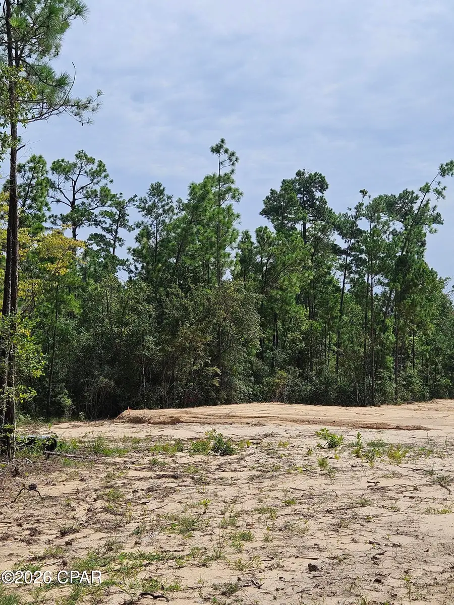 1225 Alene Drive, Alford, FL 32420 - #2