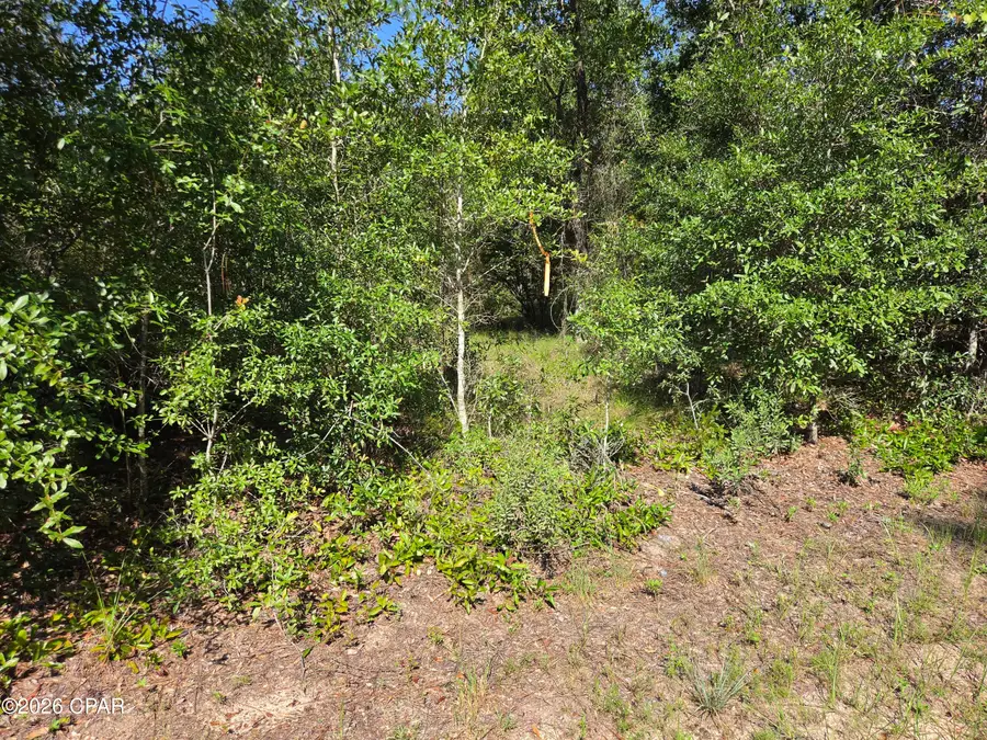 0000 Quail Ridge Drive, Chipley, FL 32428 - #3
