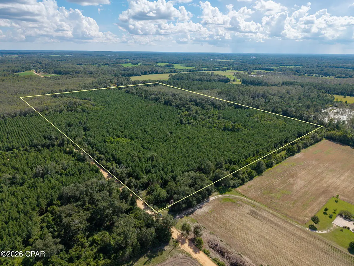 XXX New Prospect Road, Chipley, FL 32428 - #1