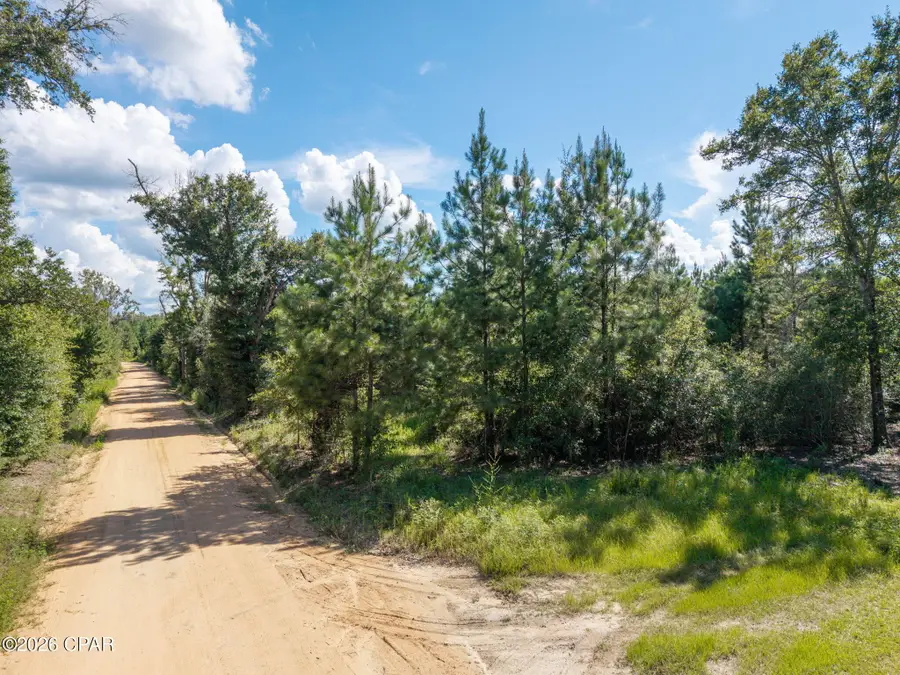 XXX New Prospect Road, Chipley, FL 32428 - #2