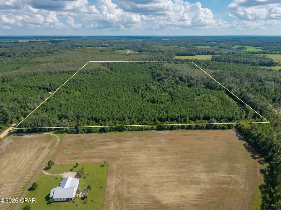 XXX New Prospect Road, Chipley, FL 32428 - #3