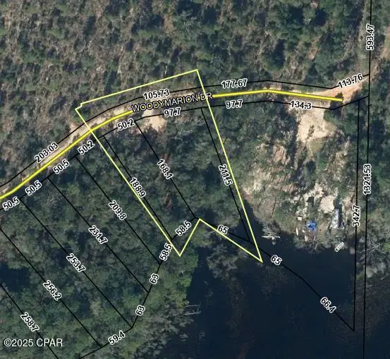 000 - 000 Woodymarion Drive #Lots 99 & 100, Chipley, FL 32428