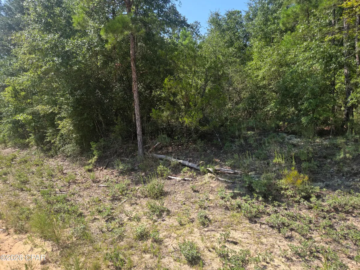 LOT 19 Dorcas Road, Marianna, FL 32448 - #1