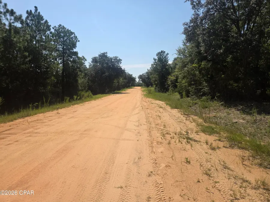 LOT 19 Dorcas Road, Marianna, FL 32448 - #2