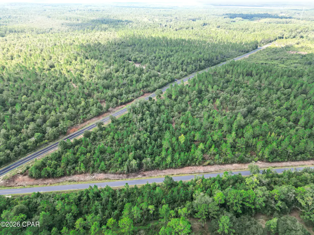 0002 Douglas Ferry Road, Bonifay, FL 32425 - #1
