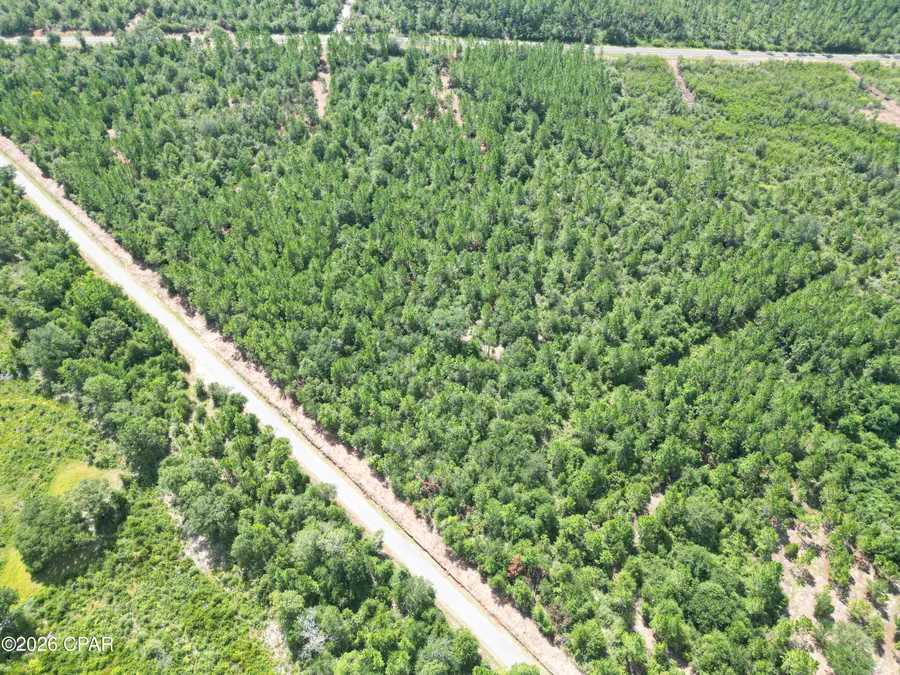 0002 Douglas Ferry Road, Bonifay, FL 32425 - #3