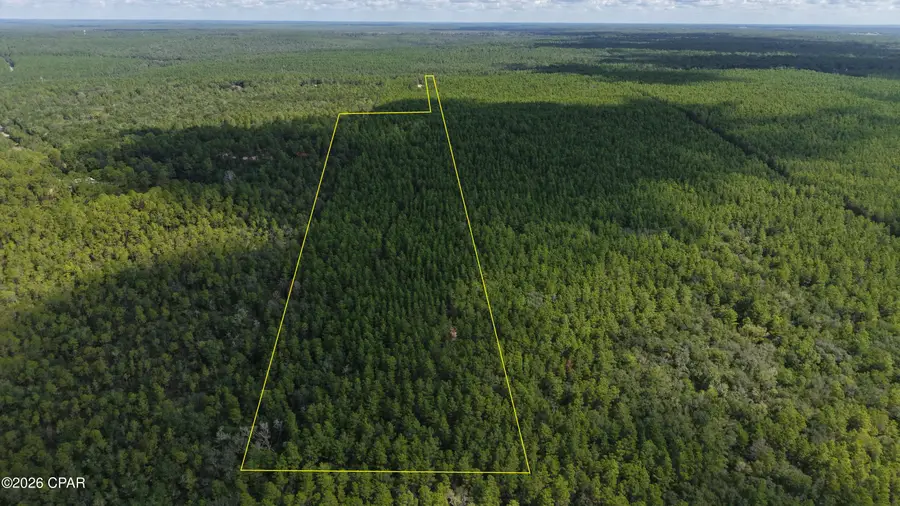 B Trawick Creek Road, Holt, FL 32564 - #2