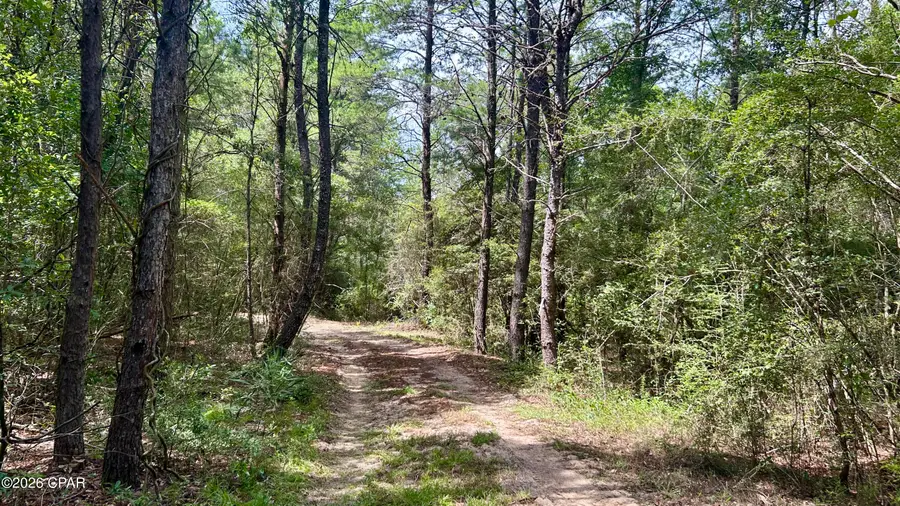B Trawick Creek Road, Holt, FL 32564 - #3