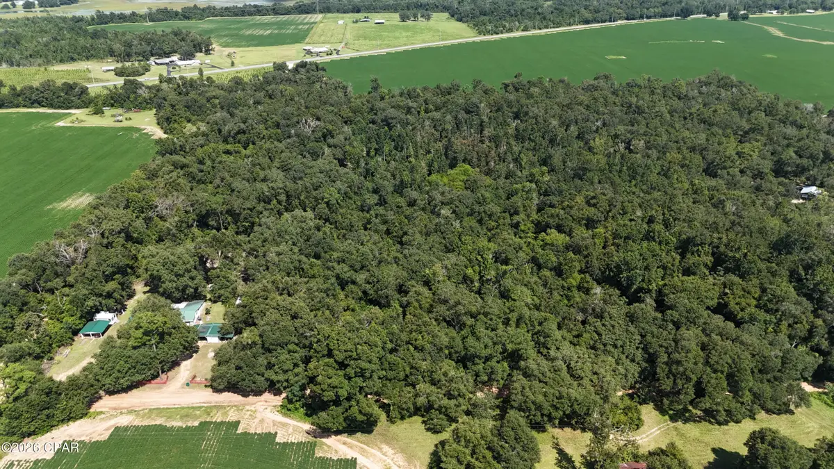 00 Conner Road, Grand Ridge, FL 32442 - #1